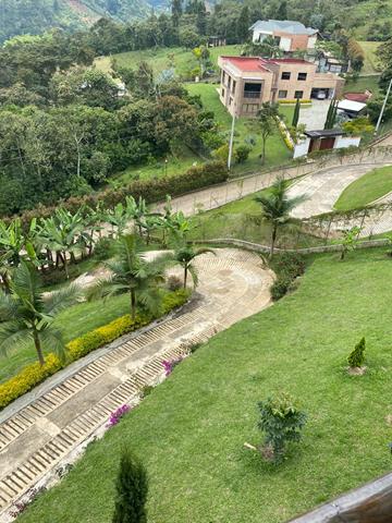 Fotos de VEREDA PRIMAVERA