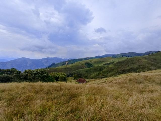 Fotos de 2 CUADRAS A LA ESTACION DE NICANOR