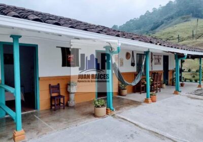 Foto de EL SALADO 