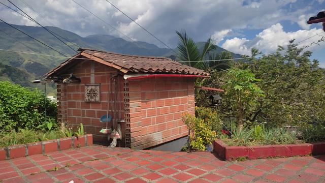 Fotos de LA MIEL PARTE ALTA