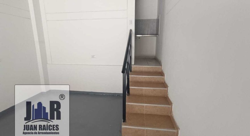 Fotos de LA PLANTA 