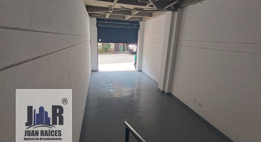 Fotos de LA PLANTA 
