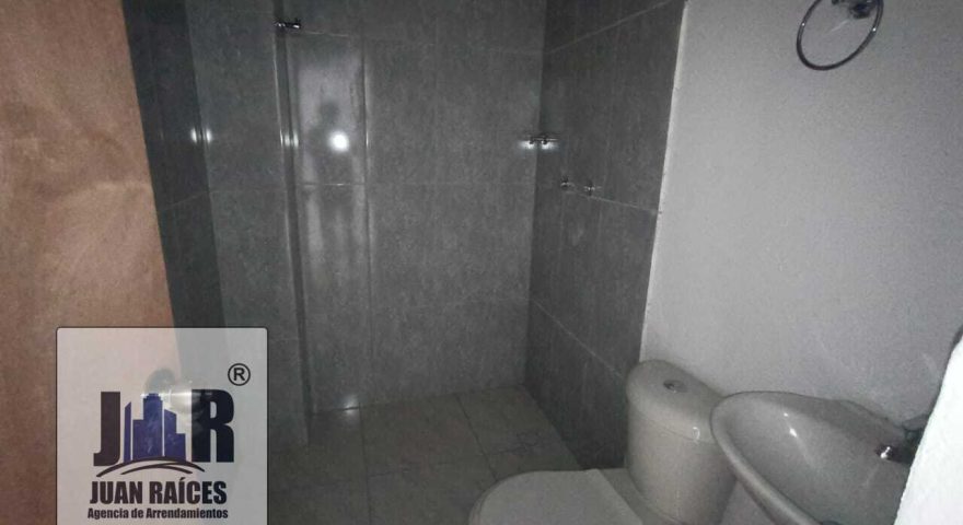 Fotos de LA PLANTA 