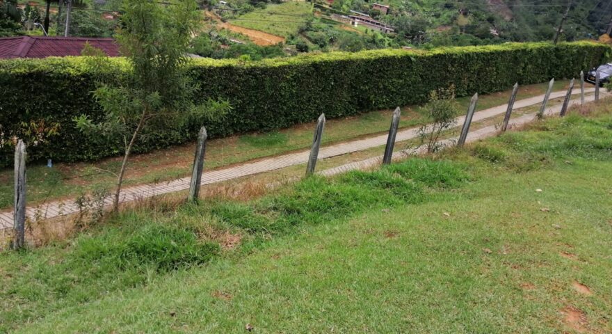 Fotos de BARBOSA VEREDA TAMBORSITO