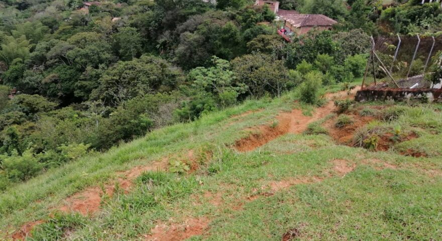 Fotos de BARBOSA VEREDA TAMBORSITO