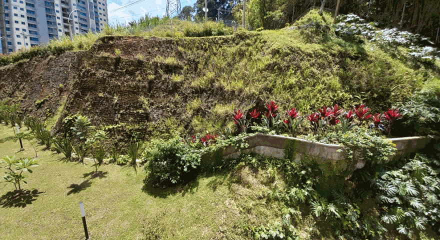 Fotos de PAN DE AZUCAR