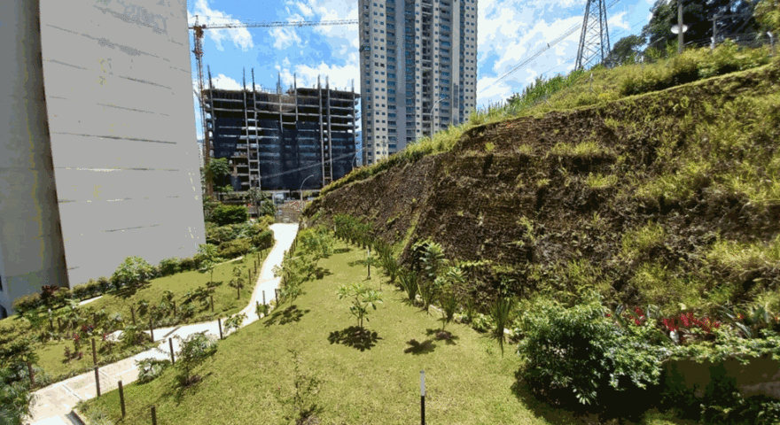 Fotos de PAN DE AZUCAR