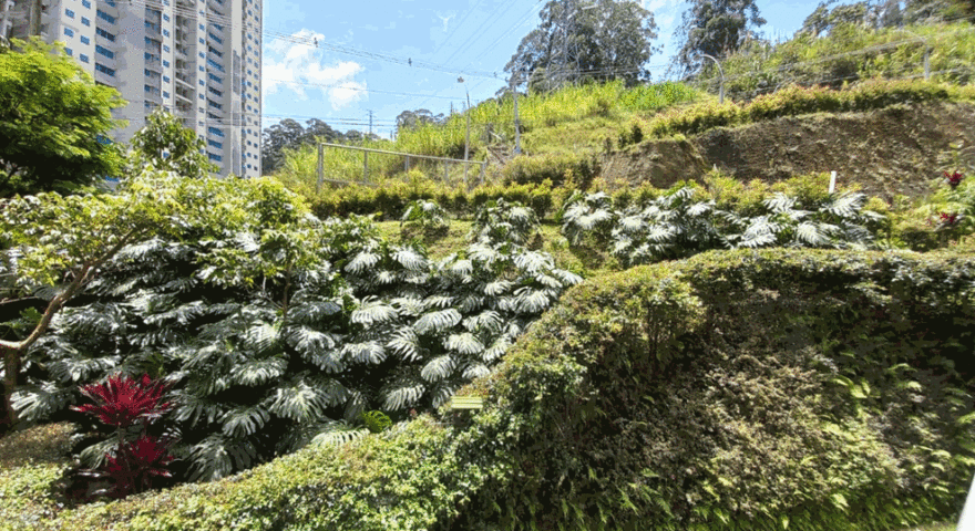 Fotos de PAN DE AZUCAR