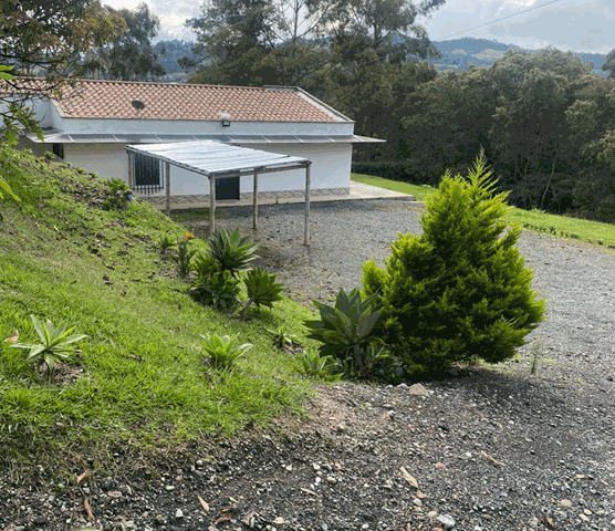 Fotos de VEREDA EL PANTANILLO