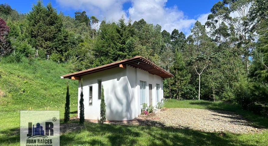 Fotos de LA MIEL PARTE ALTA 
