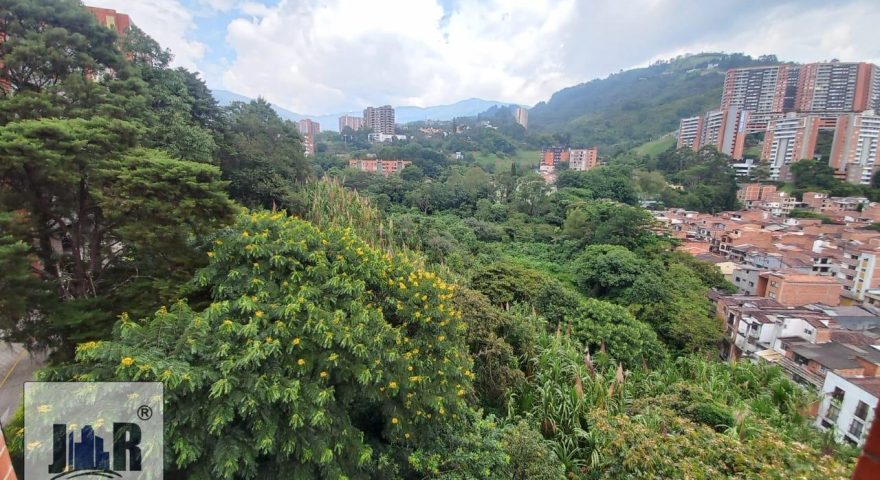 Fotos de OASIS 