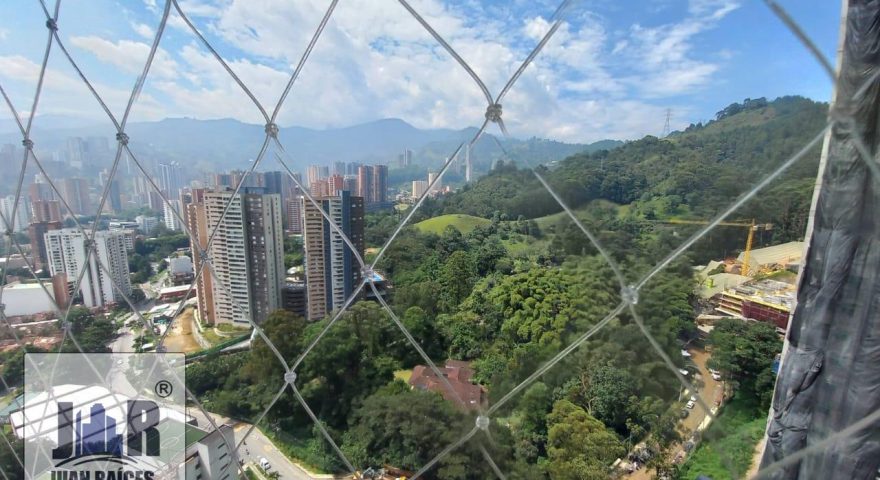 Fotos de PAN DE AZUCAR