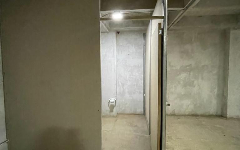 Fotos de LA PLANTA