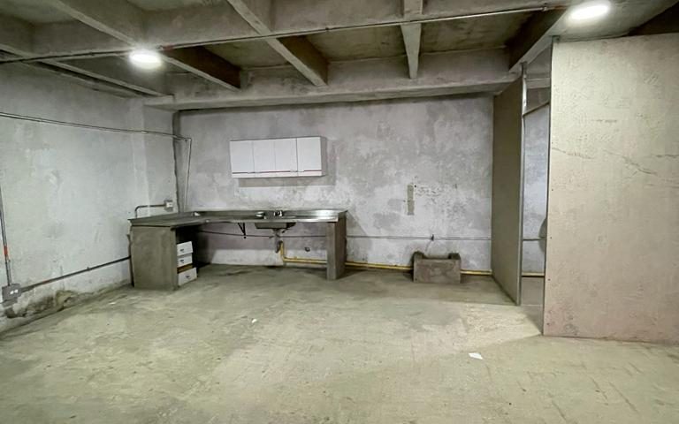 Fotos de LA PLANTA