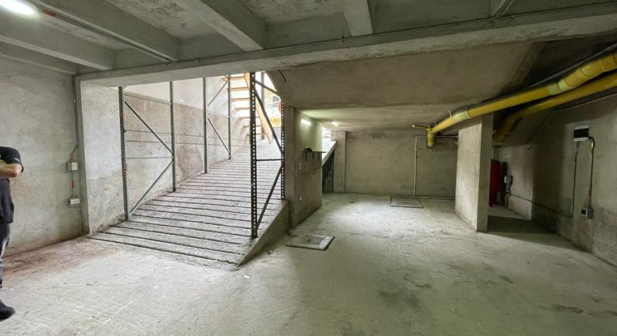 Fotos de LA PLANTA