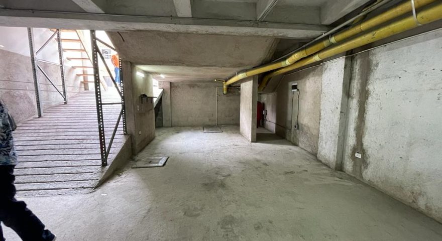 Fotos de LA PLANTA