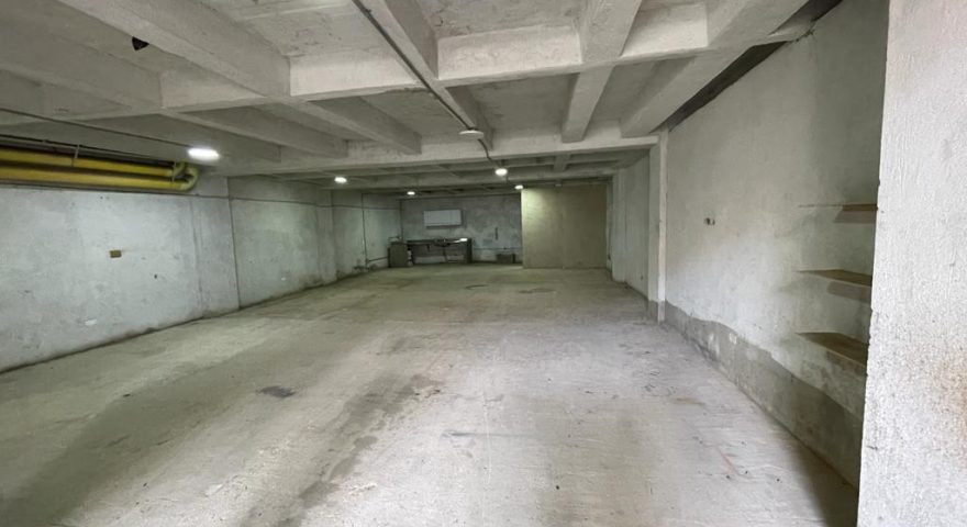 Fotos de LA PLANTA