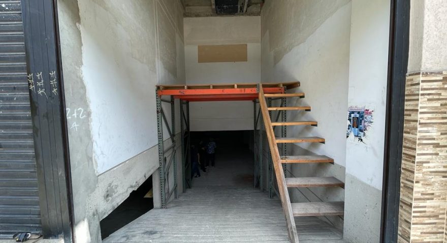 Fotos de LA PLANTA