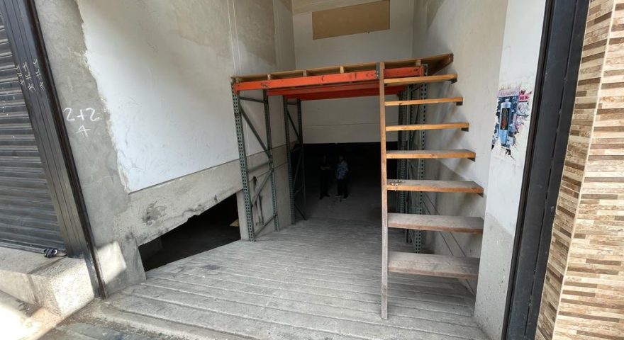 Fotos de LA PLANTA
