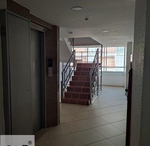 Fotos de ZONA CENTRO