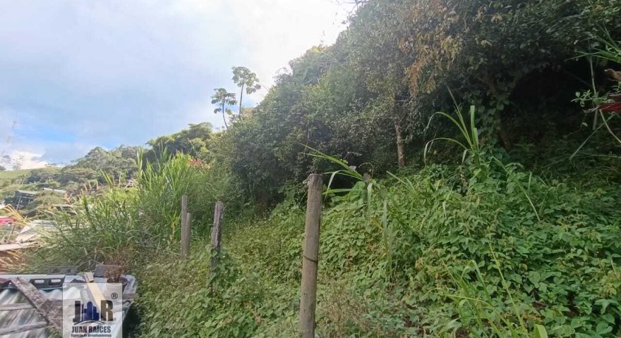 Fotos de LA MONTOYA