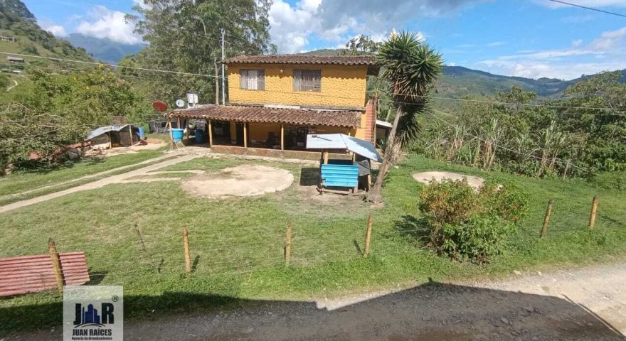 Fotos de LA MONTOYA