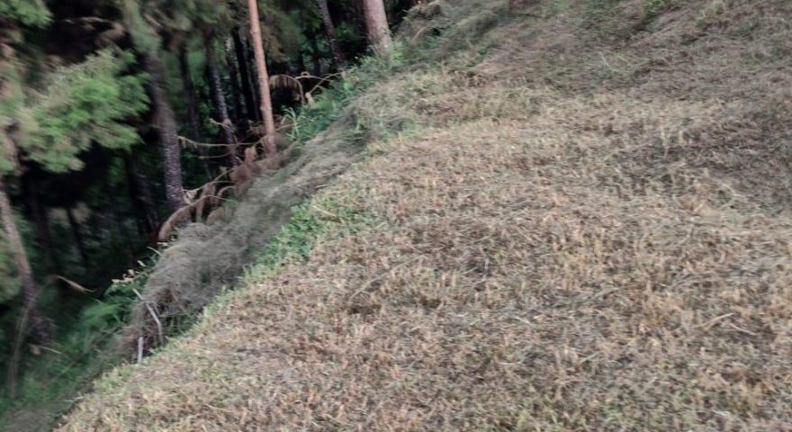 Fotos de VEREDA EL 60 VIA MINAS AMAGA 