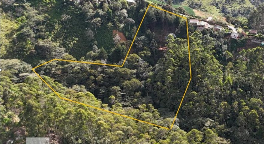 Fotos de VEREDA EL 60 VIA MINAS AMAGA 