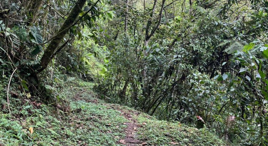 Fotos de VEREDA EL 60 VIA MINAS AMAGA 