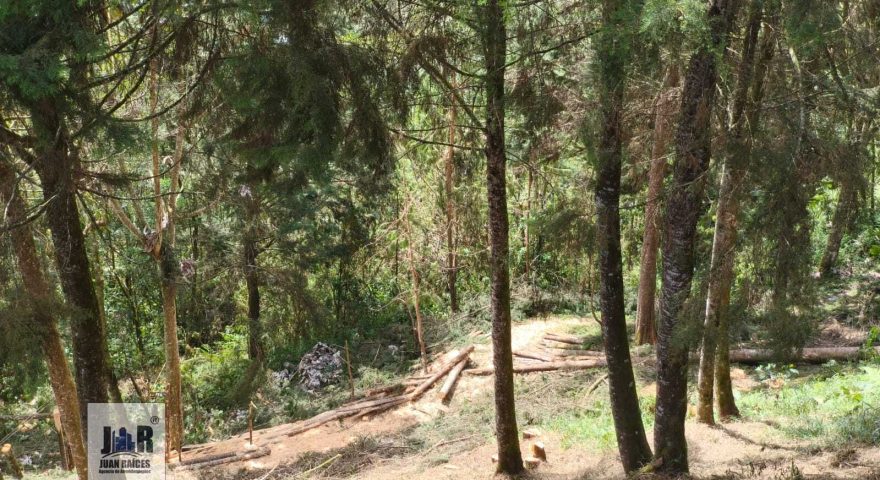 Fotos de VEREDA EL 60 VIA MINAS AMAGA 