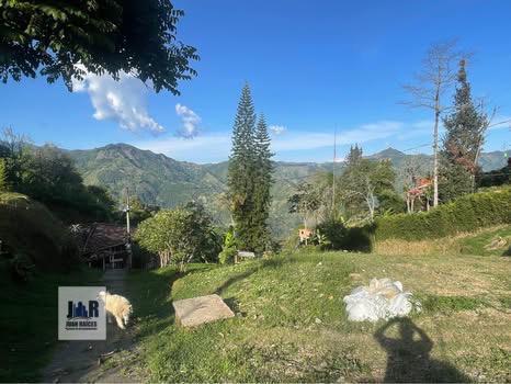 Fotos de VERSALLES