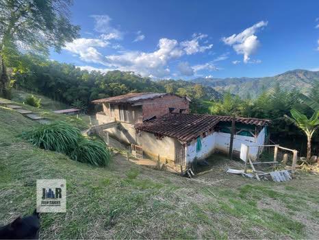 Fotos de VERSALLES