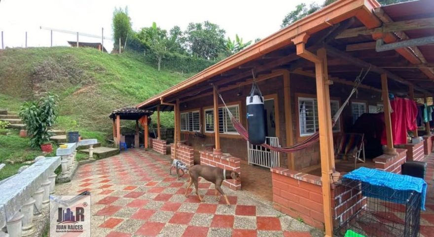 Fotos de VERSALLES
