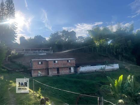 Fotos de VERSALLES
