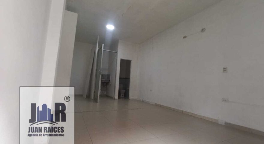 Fotos de EL CARRUSEL