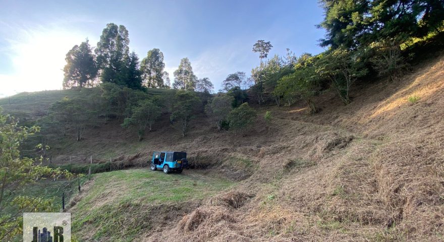 Fotos de LA MIEL POR FRIKO