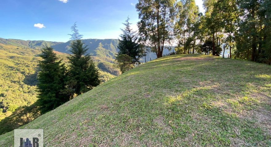 Fotos de LA MIEL POR FRIKO
