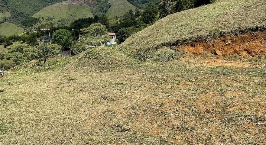 Fotos de VERSALLES