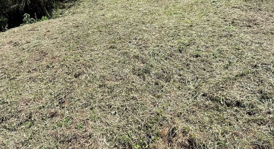 Fotos de VERSALLES