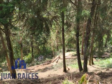 foto 104214 800031963 8331767025 ss